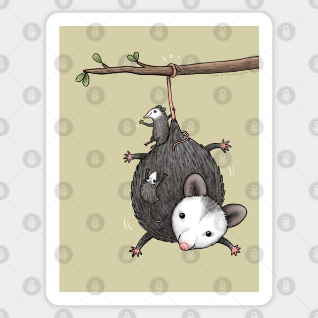 Opossum Family Sticker by Sophie Corrigan